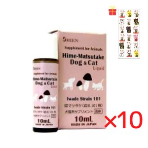 画像1: シエン (岩出101株) 犬猫用サプリメント 10ml【10個セット】【金運招き猫シール1枚付】ヒメマツタケ サプリメント 液体 アガリクス