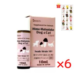 画像1: シエン (岩出101株) 犬猫用サプリメント 10ml【6個セット】【金運招き猫シール1枚付】ヒメマツタケ サプリメント 液体 アガリクス