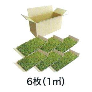 画像3: 生きてる乾燥苔 ヤマゴケ 280mm×580mm　6枚入り（1m2）こけ 庭園 造園 盆栽 苔玉 ジオラマ テラリウム 壁面 屋上緑化 国産 送料無料