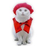 キャットプリン　ビバ還暦だにゃん　1枚　猫用キャットウエア 猫の服 コスプレ 変装 付け襟 ネックカラー お祝い 記念日