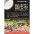 画像2: ビバリア ハイパーサンUV 80W　昼光性爬虫類 保温球 UVライト UVA UVB 紫外線ライト バスキングライト (2)